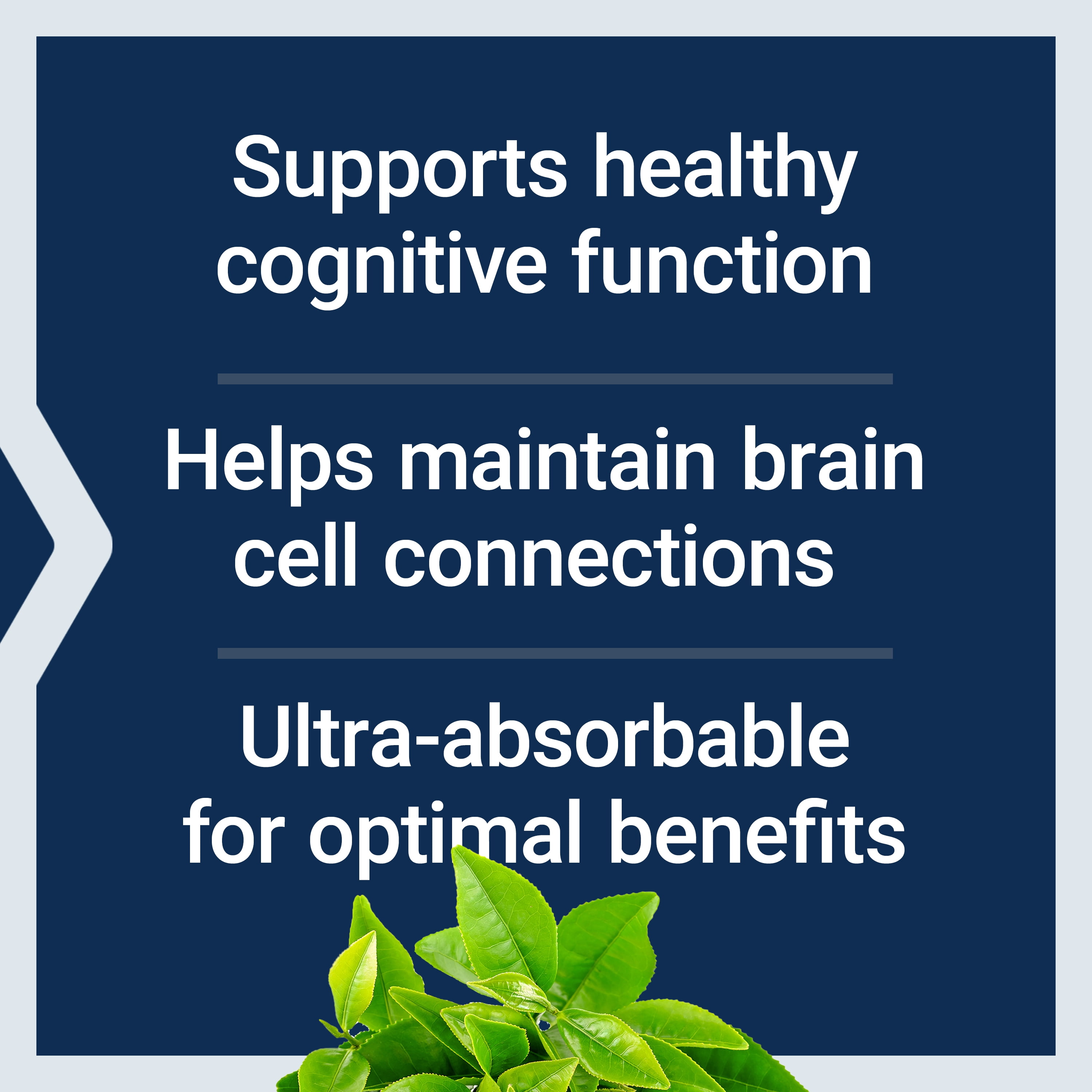 Life Extension Neuro Mag Magnesium L-threonate Brain Health Memory Attention Gluten Free Vegetarian Non-GMO 90 Vegetarian Capsules
