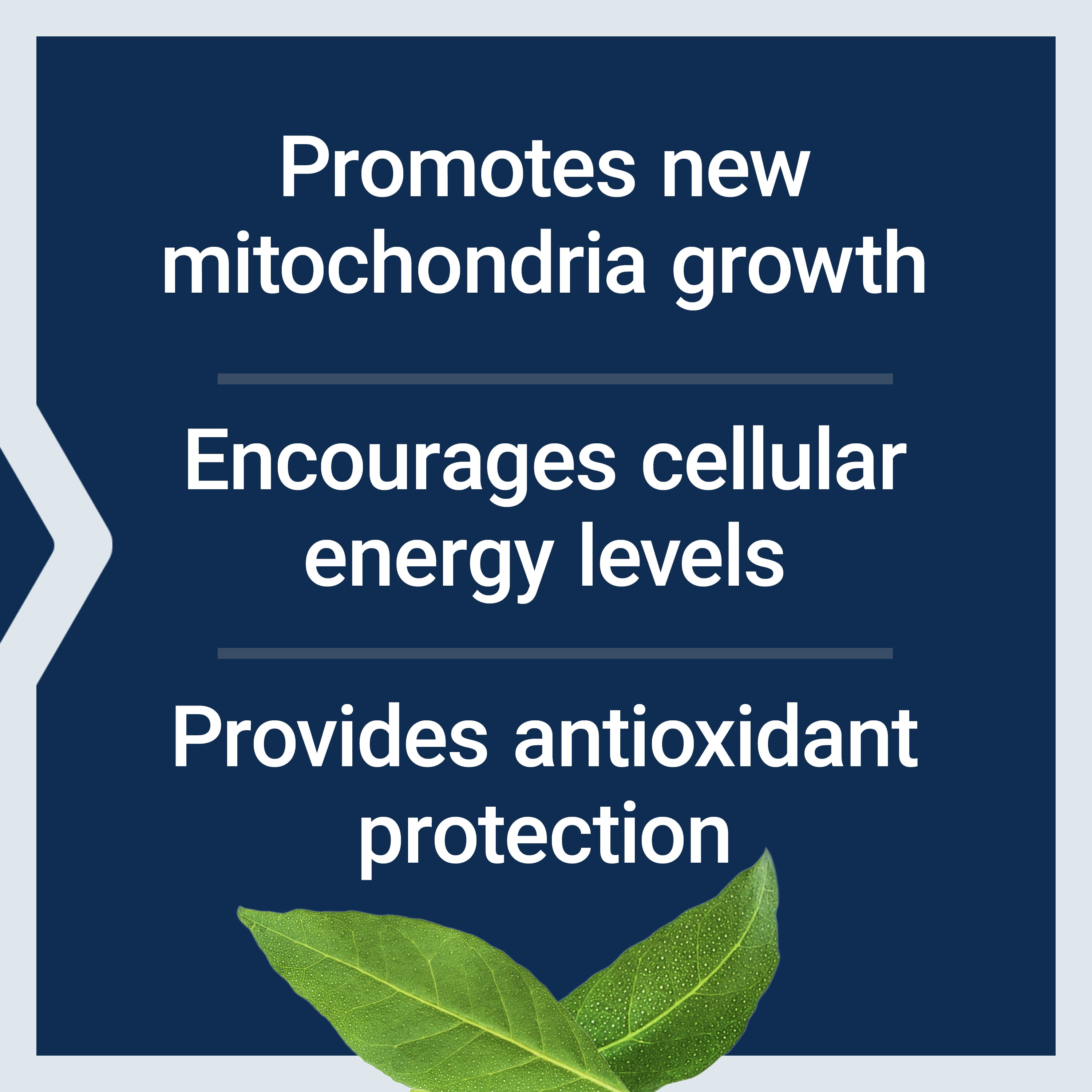 LIFE EXTENSION PQQ 20MG PROMOTES GROWTH OF NEW CELLULAR MITOCHONDRIA GLUTEN-FREE NON-GMO ONCE DAILY 30 VEGETARIAN CAPSULES