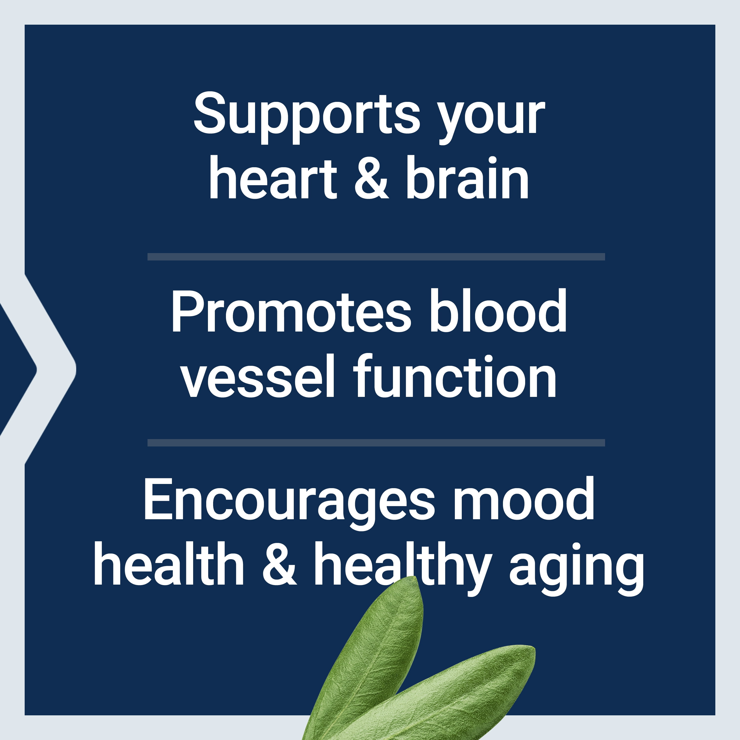 LIFE EXTENSION SUPER OMEGA-3 EPA DHA FISH OIL SESAME LIGNANS OLIVE EXTRACT HEART BRAIN HEALTH INFLAMMATION CHOLESTEROL GLUTEN-FREE NON-GMO 60 SOFTGELS