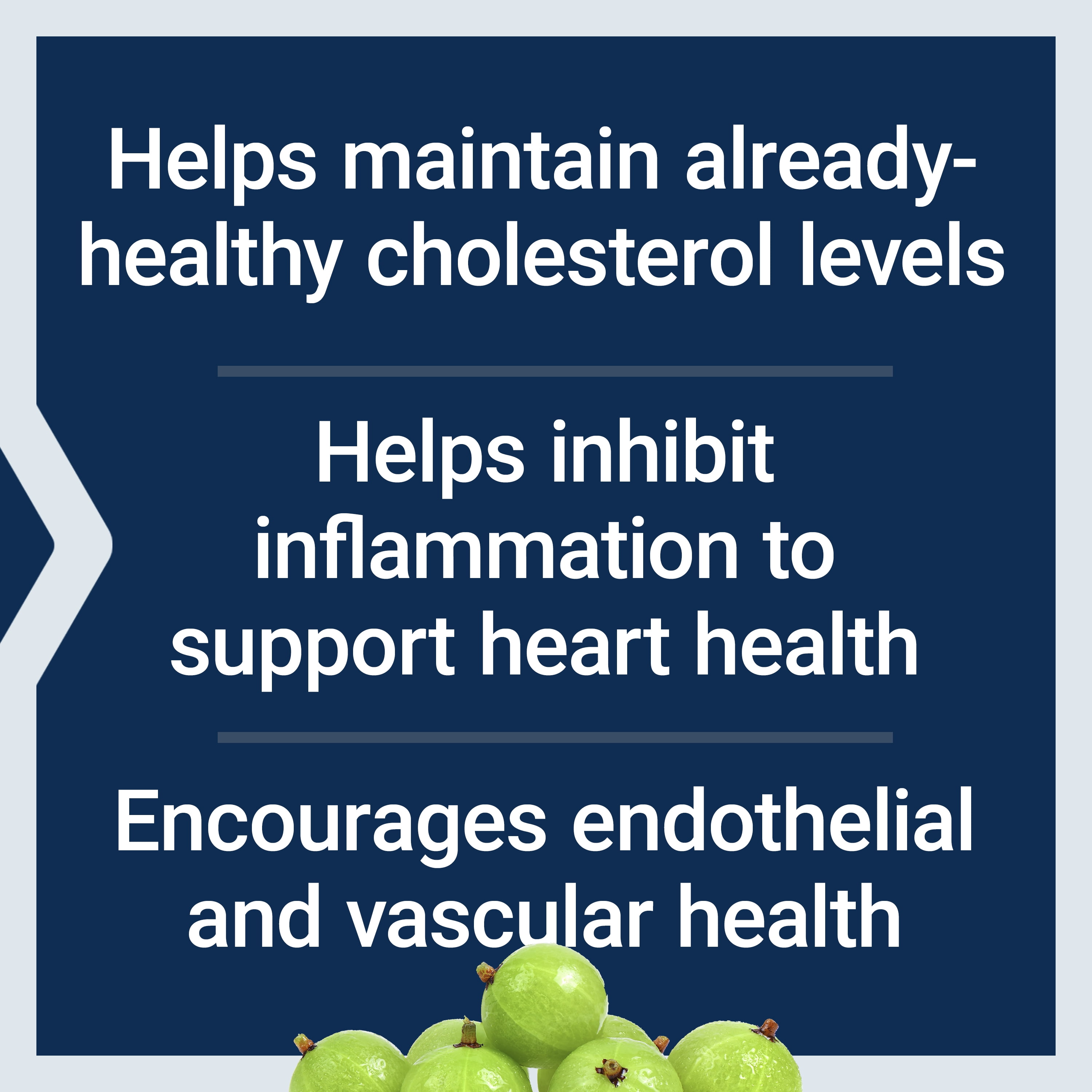 LIFE EXTENSION ADVANCED LIPID CONTROL WITH AMLA EXTRACT FOR HEART AND ENDOTHELIAL HEALTH - VEGETARIAN GLUTEN-FREE 60 CAPSULES