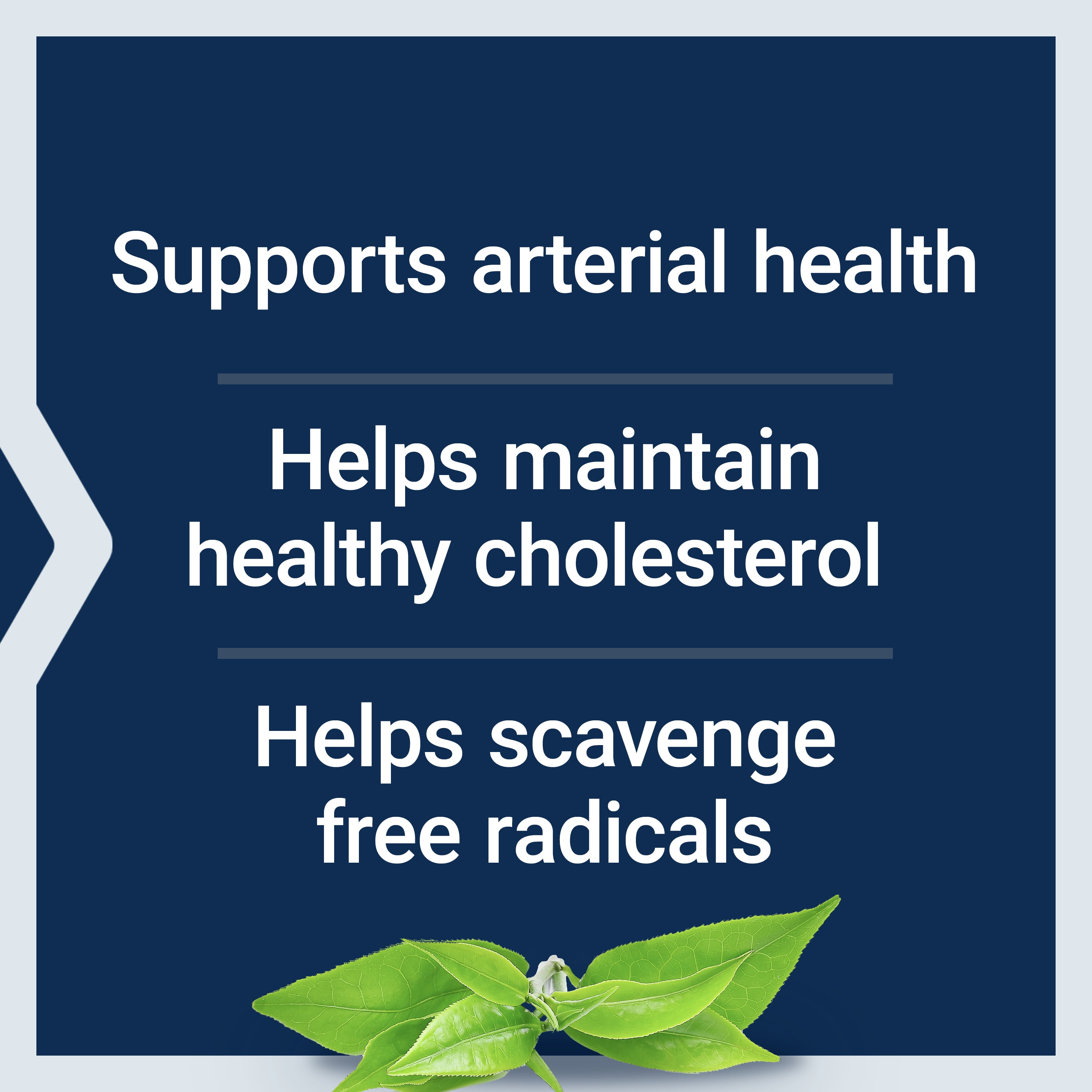 Life Extension Theaflavin Extract Tea Leaf Flavonoids Arterial Health Support Cholesterol Antioxidant Gluten-Free Non-GMO Vegetarian 30 Capsules