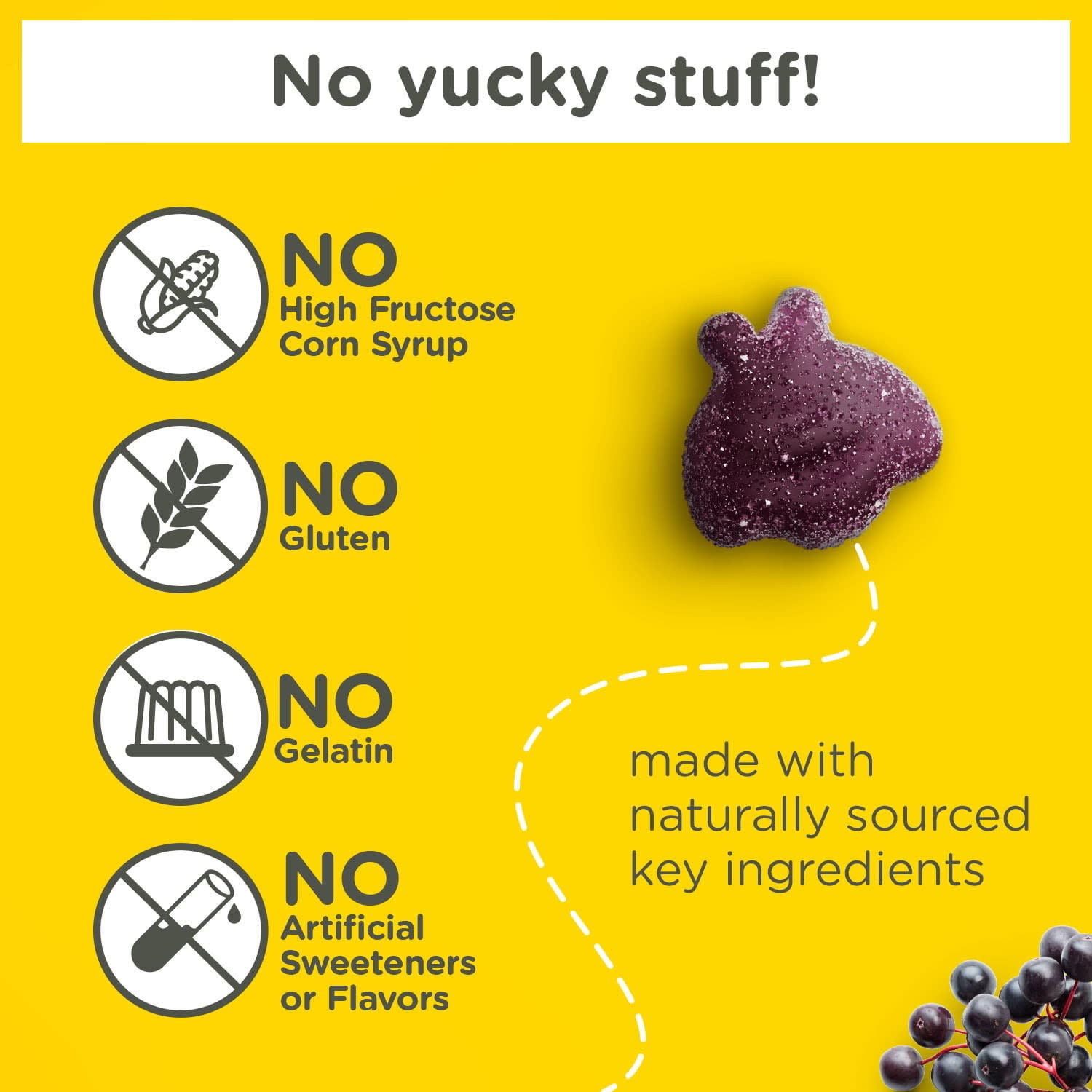 Zarbee's Childrens Daily Immune Support Gummies with Elderberry 42 Ct