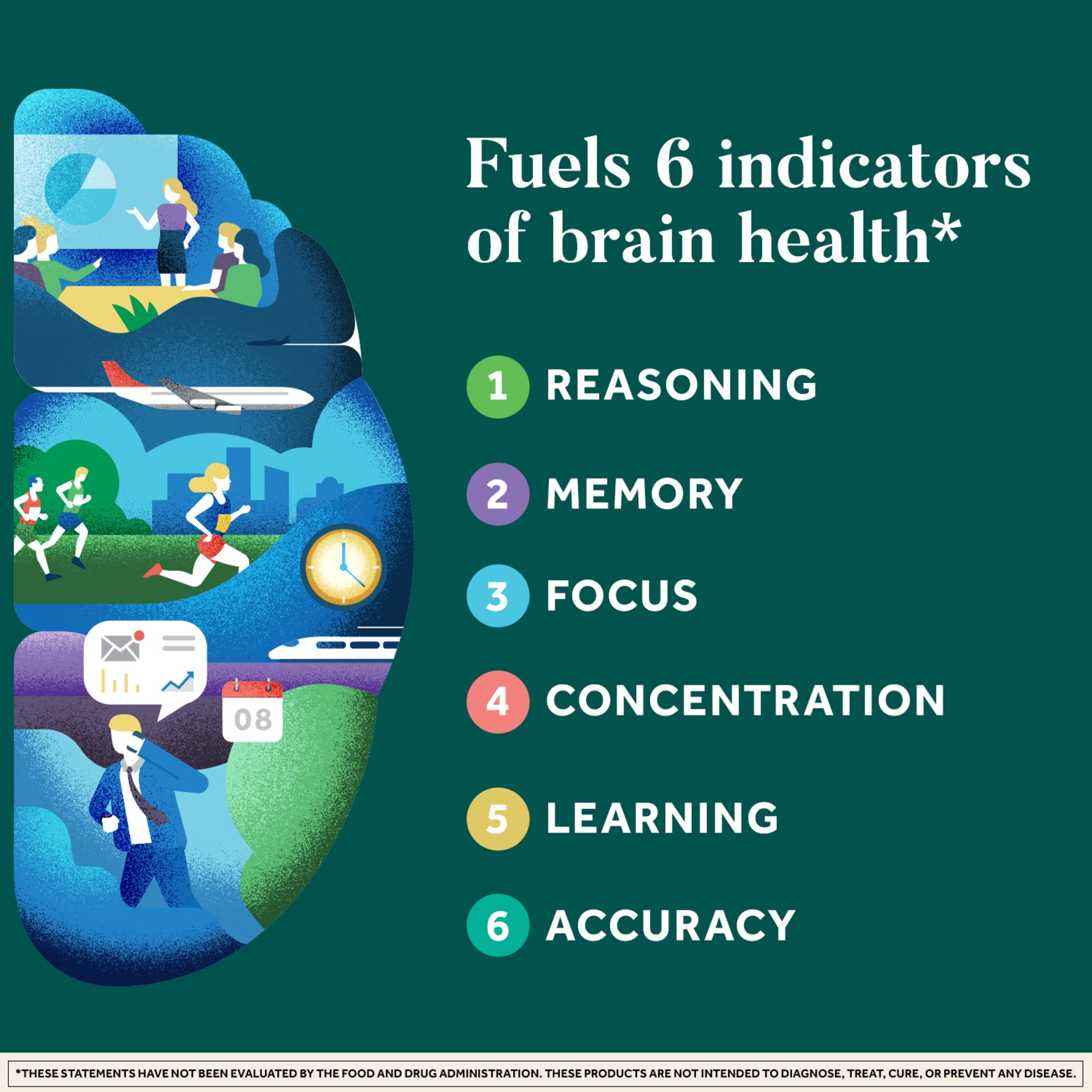 Neuriva Plus Brain Health Supplement | Vitamins B12 & B6 | Memory Focus Support | 30ct Capsules