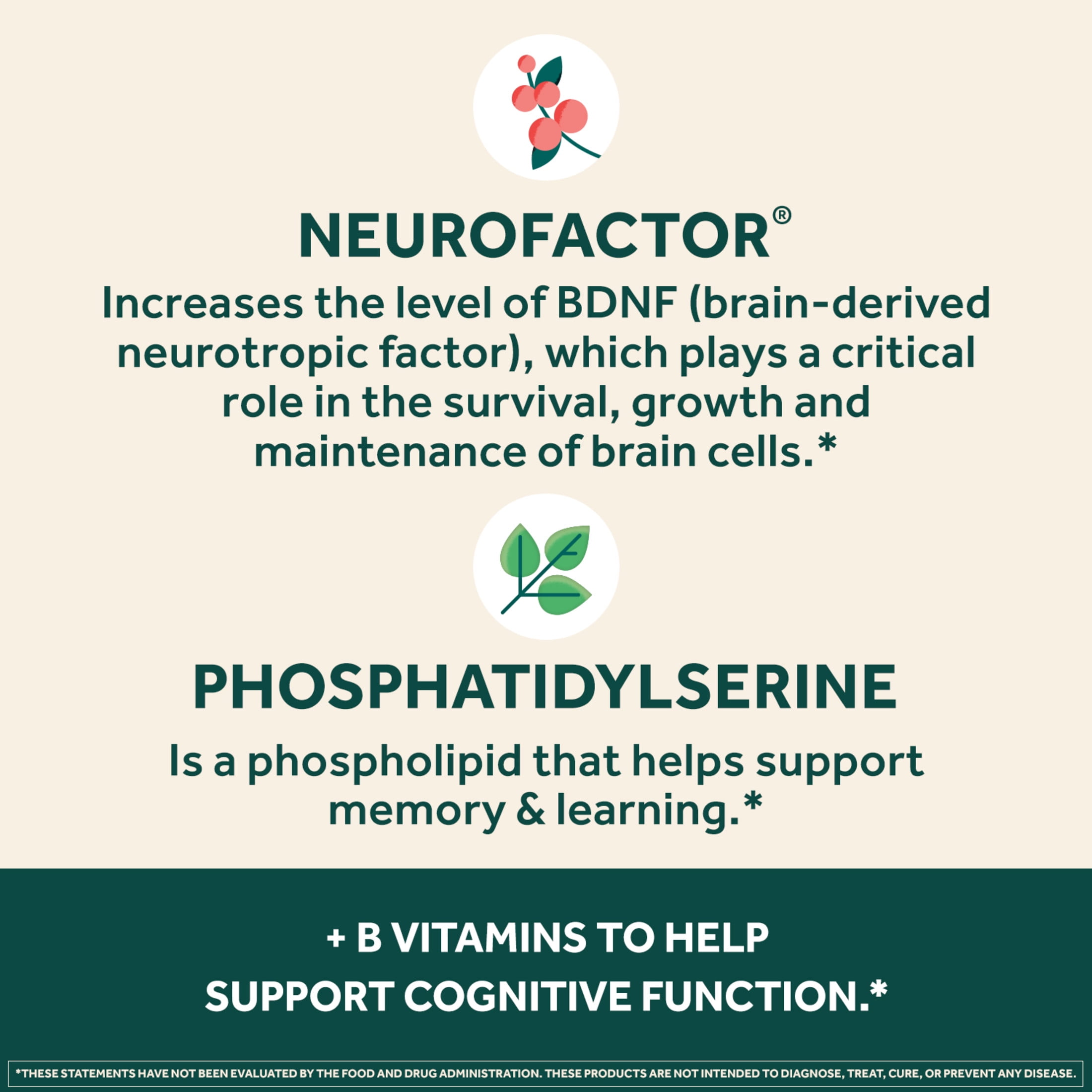 Neuriva Plus Brain Health Supplement | Vitamins B12 & B6 | Memory Focus Support | 30ct Capsules
