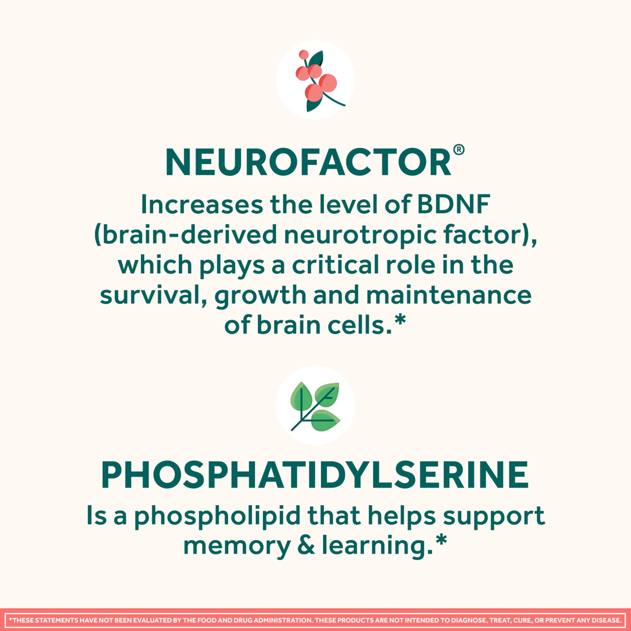 Neuriva Original Brain Health Supplement Memory Focus 30ct Capsules