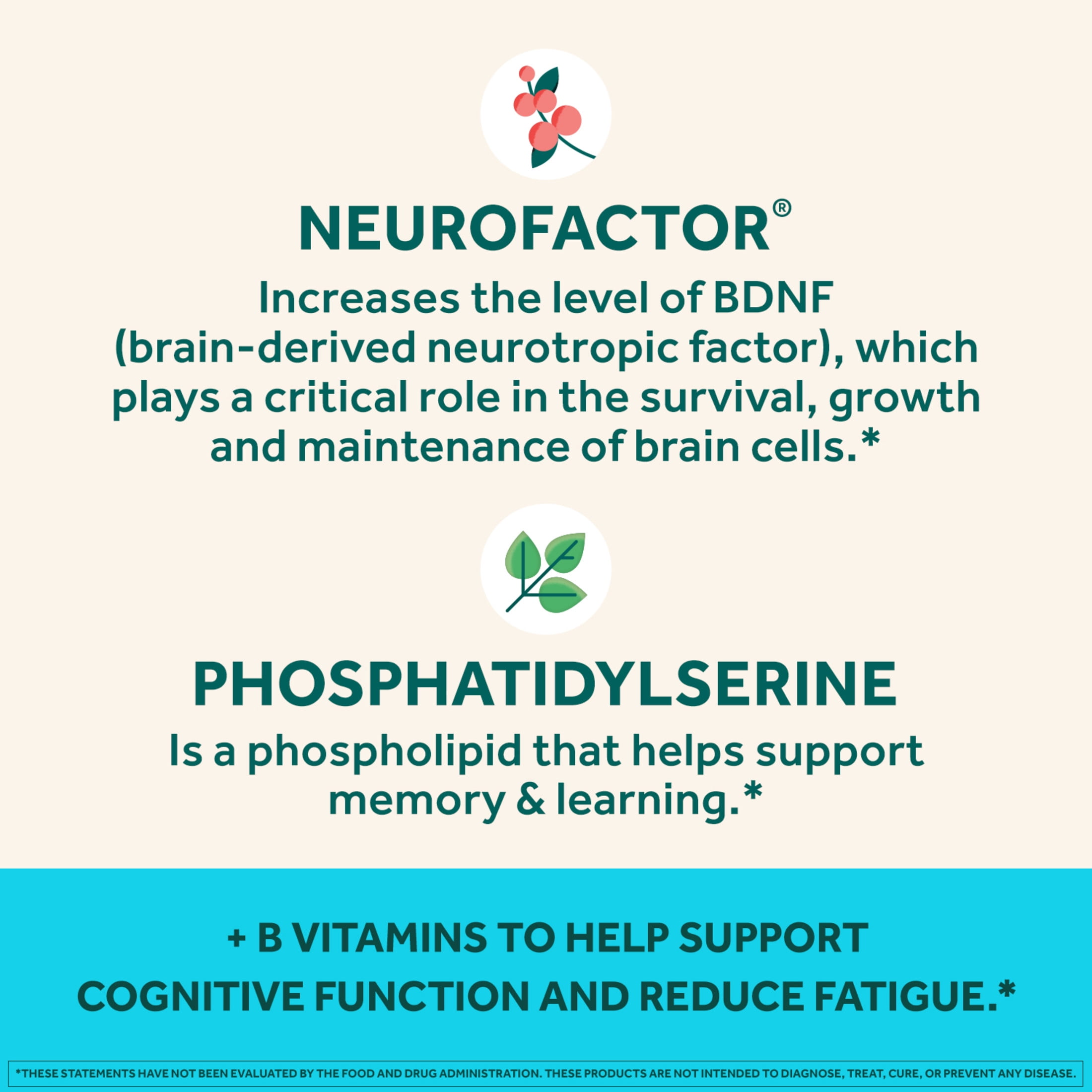 Neuriva Plus Brain Health Vitamins B12 & B6 Support Memory Focus Strawberry 50ct Gummies