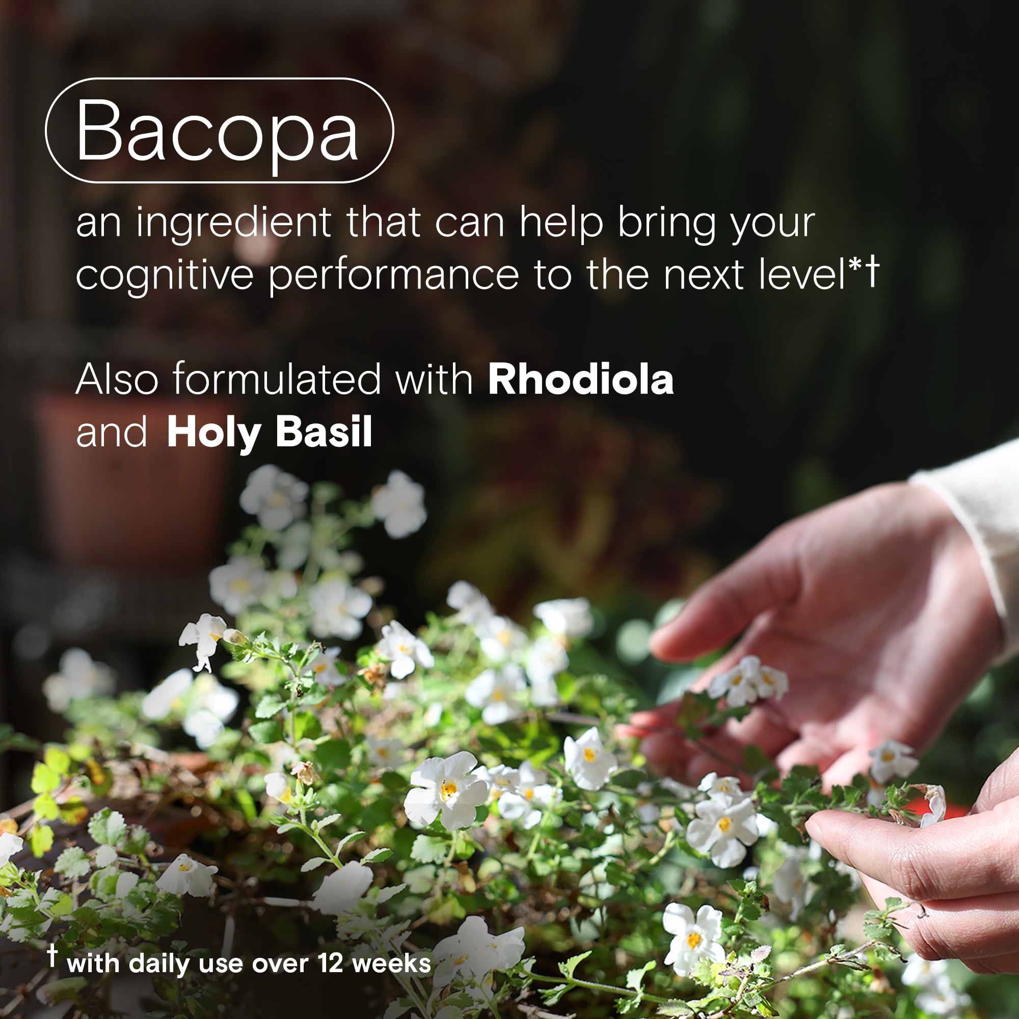 One A Day Cognitive Brain Supplement with Bacopa 30 Capsules For Enhanced Focus and Memory