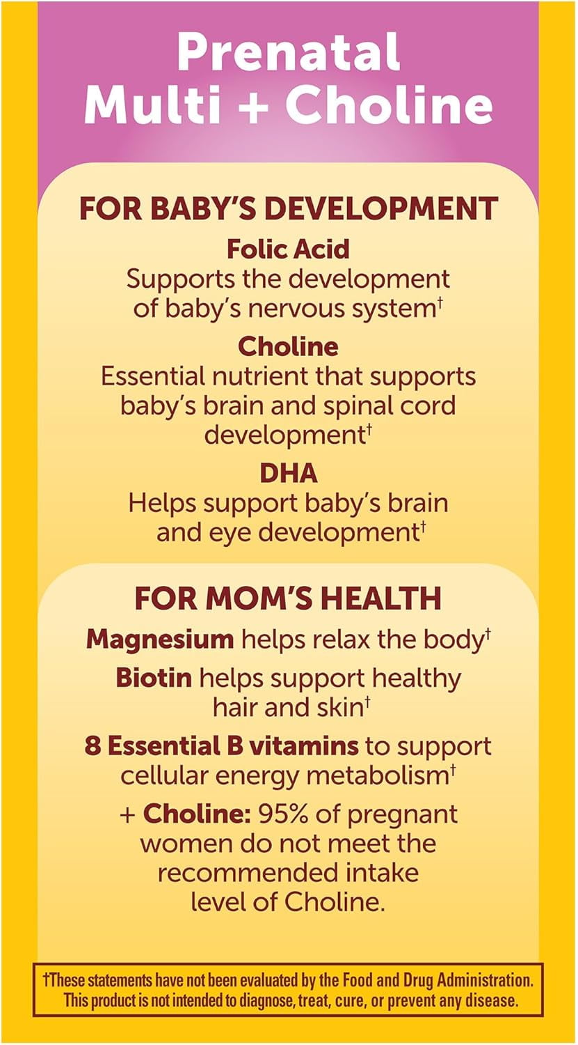 Nature Made Prenatal Multivitamins Choline Capsules Folic Acid DHA 60 Count