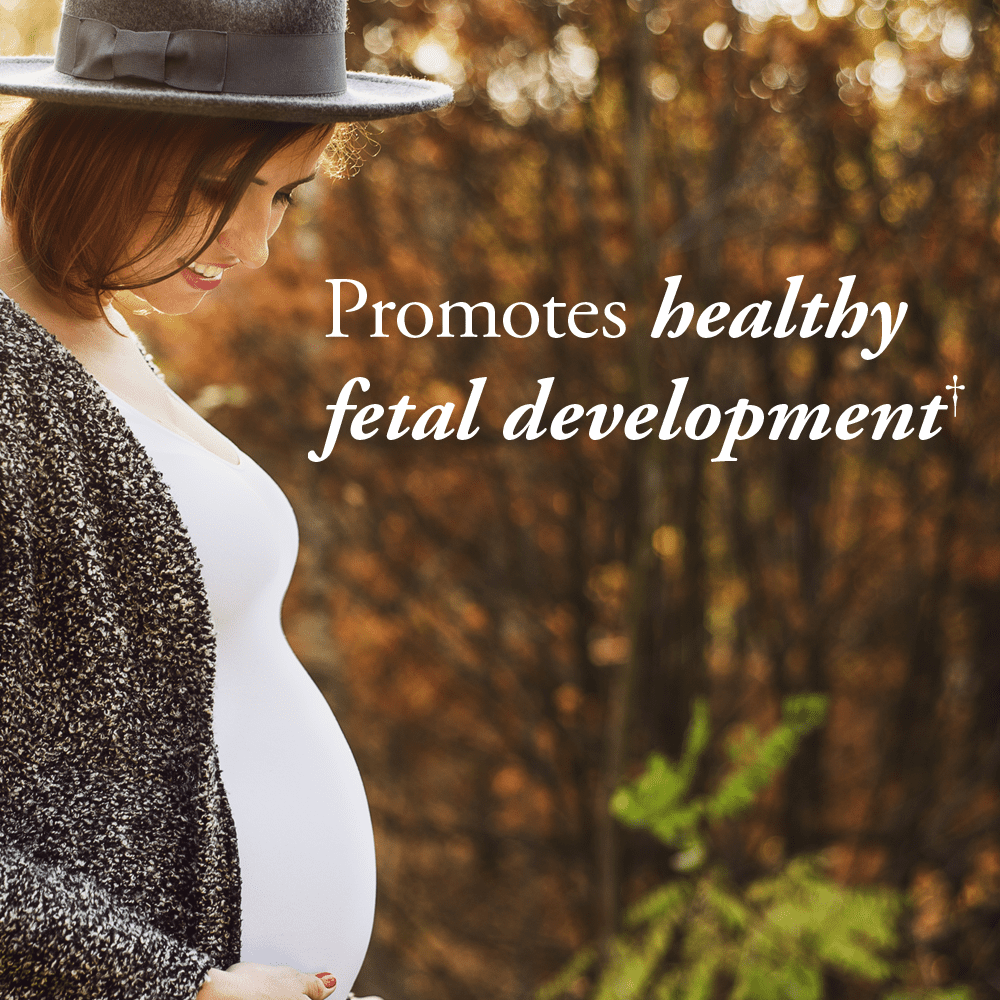 Garden of Life mykind Prenatal Once Daily Multi 90 Tablets