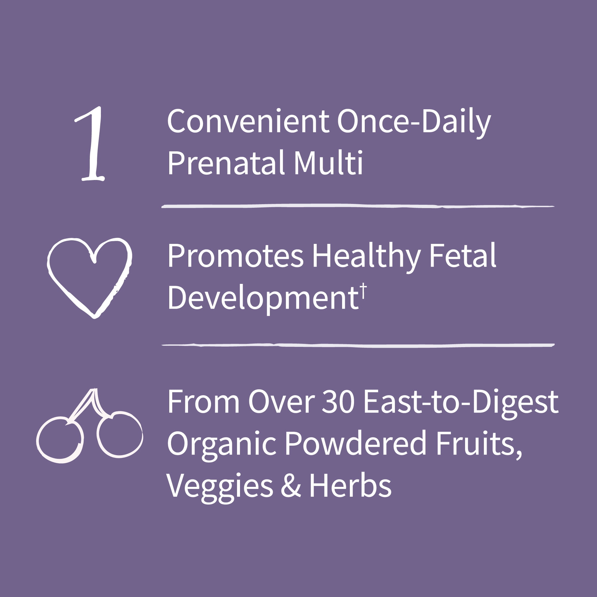 Garden of Life Organics Prenatal Multivitamin One-A-Day 30 Count Certified Organic Multi