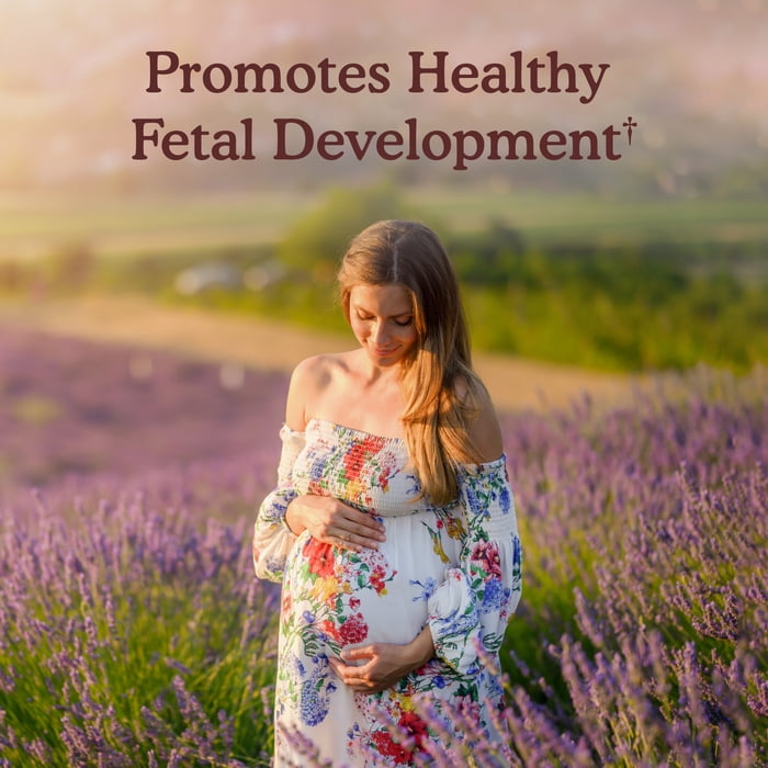 Garden of Life Organics Prenatal Multivitamin One-A-Day 30 Count Certified Organic Multi