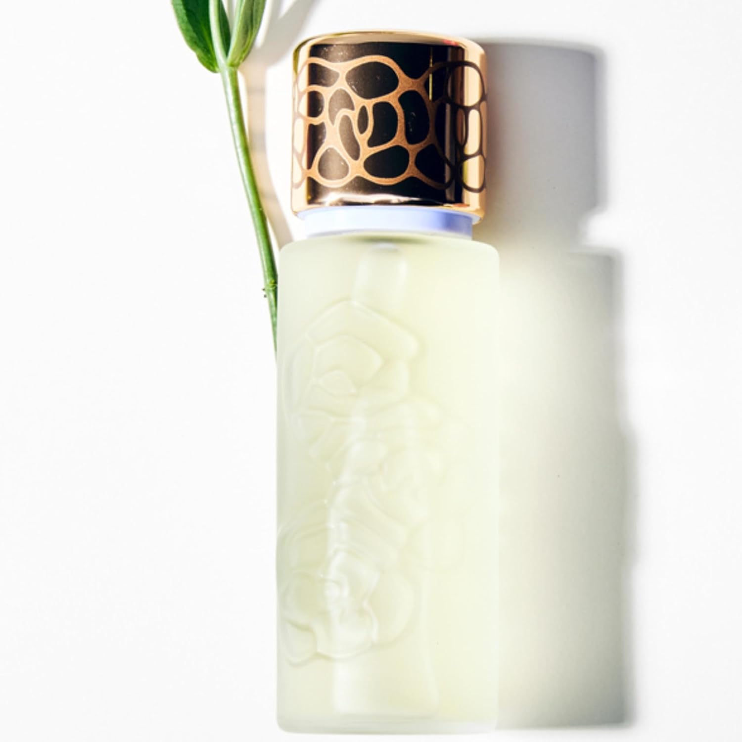 Houbigant Paris B0C798619Z Exclusive Fragrance Bottle