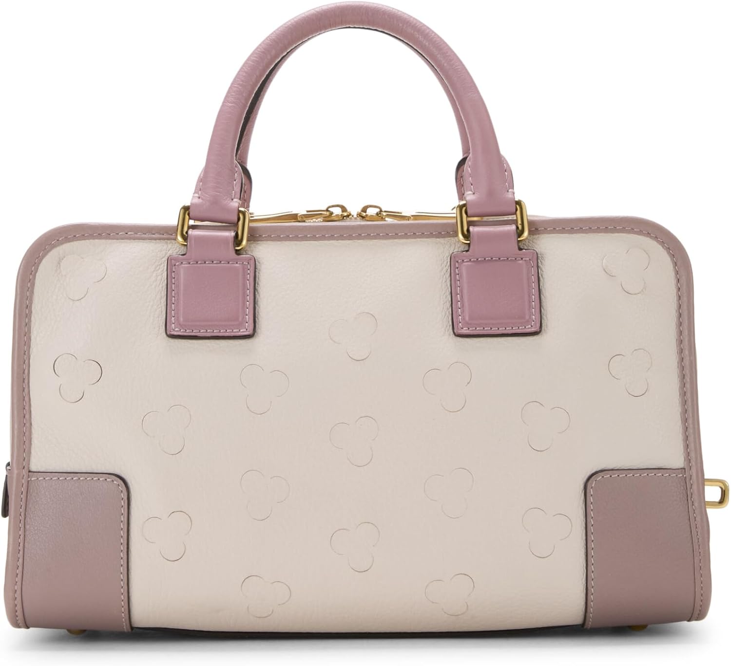 LOEWE Pre-Loved Pink Leather Amazona 28, Pink