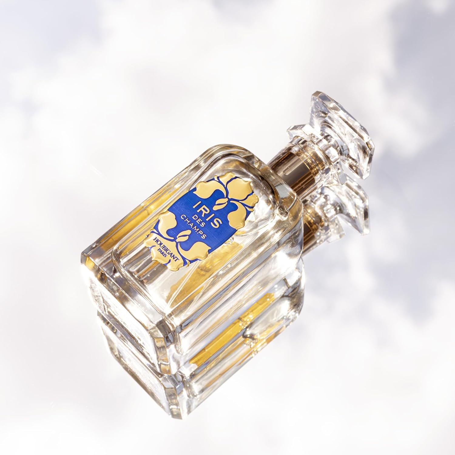 Houbigant Paris 100ml EDP Spray for Women - Single Pack