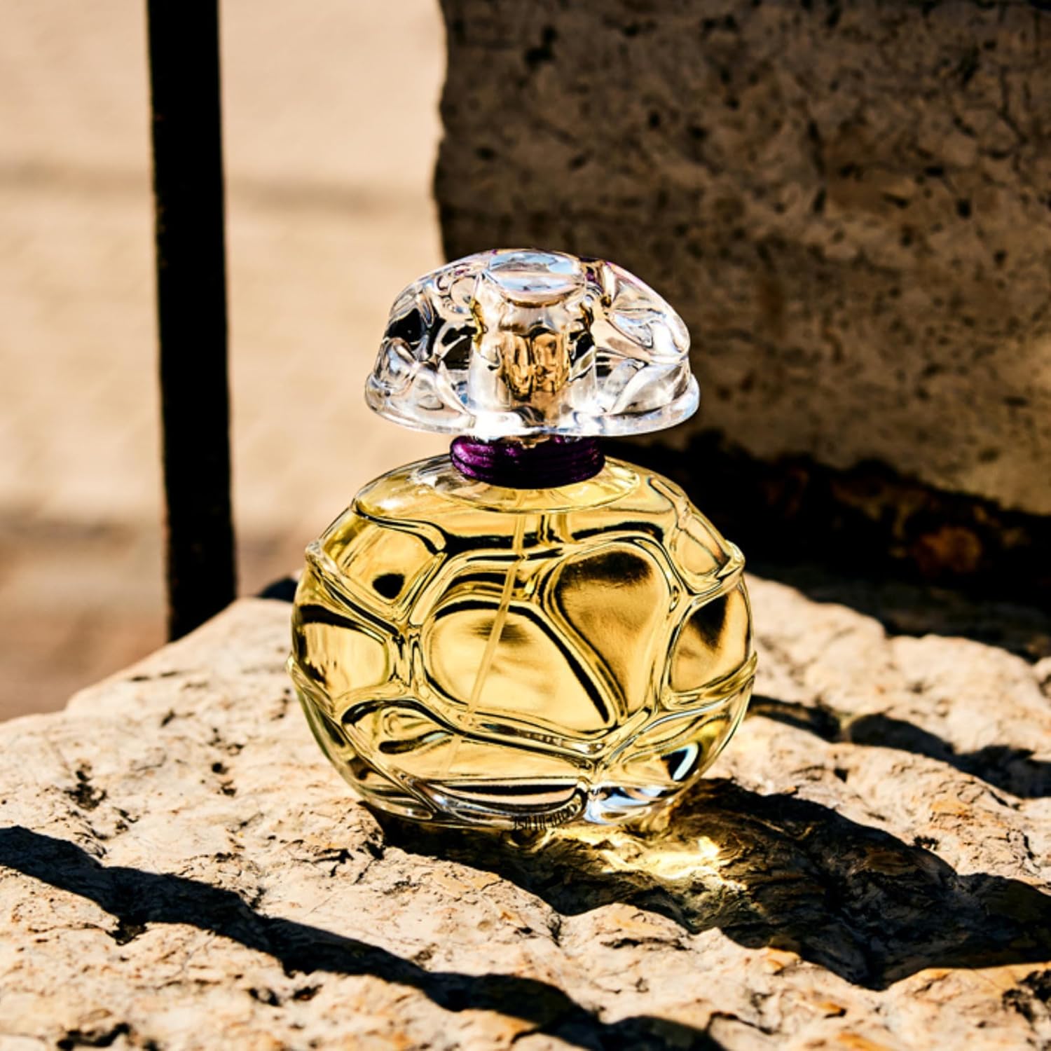 Houbigant Paris 3.4 Fl Oz Pack of 1 Perfume Fragrance Bottle