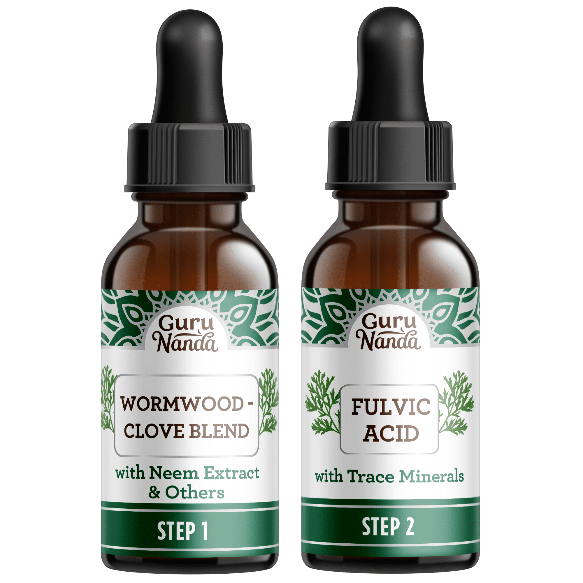 GuruNanda Paracleanse 2 Step Liquid Supplement with Wormwood Clove Neem Extract for Digestive Health Support 1 fl oz