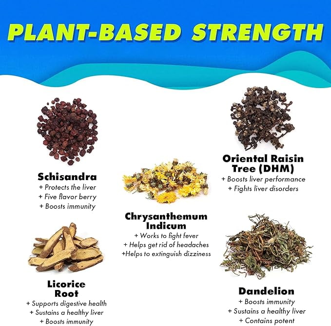 The Plug Liver Cleanse Detox Repair Drink Plant Based Herbal Electrolyte Liver Support Health Bloating Relief Restore Antioxidants Minerals Liver Complex Energy Drink 24-Pack