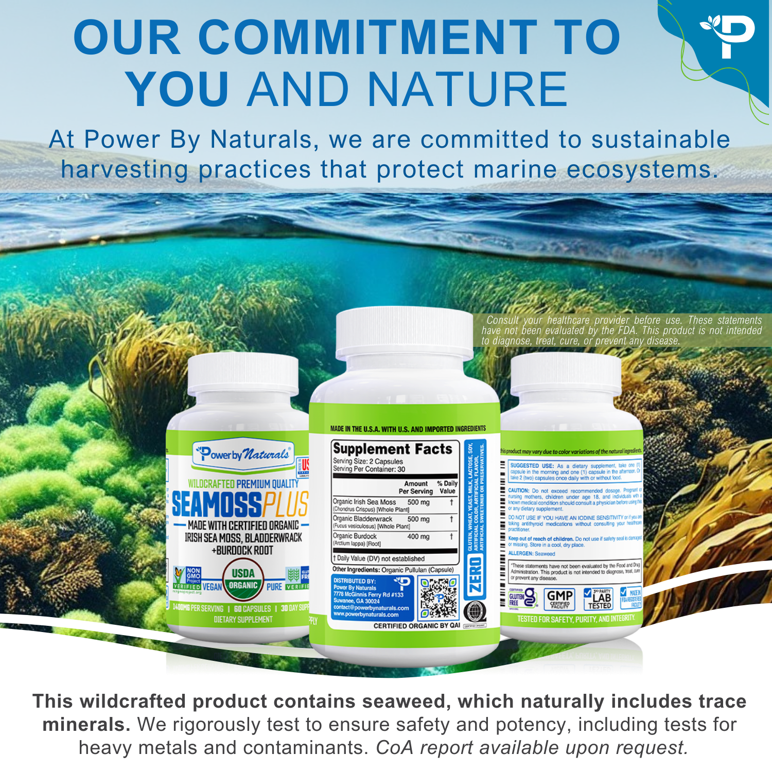 SEA MOSS & BLADDERWRACK CAPSULES WITH BURDOCK ROOT - GUT ENERGY IMMUNE SUPPORT - 60 CAPSULES
