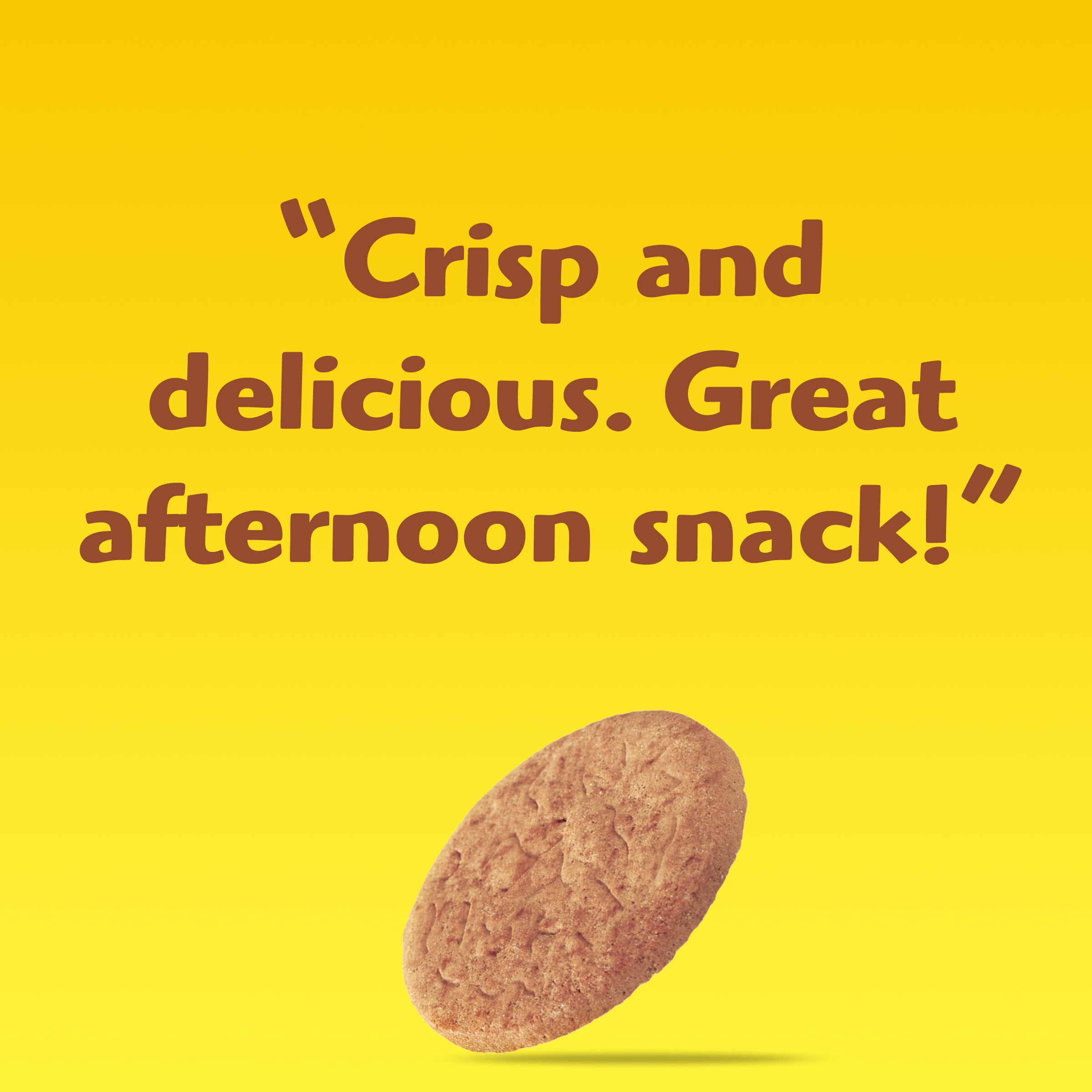 Ginger Snaps Cookies for Easter Baking - 16 oz 3-Pack