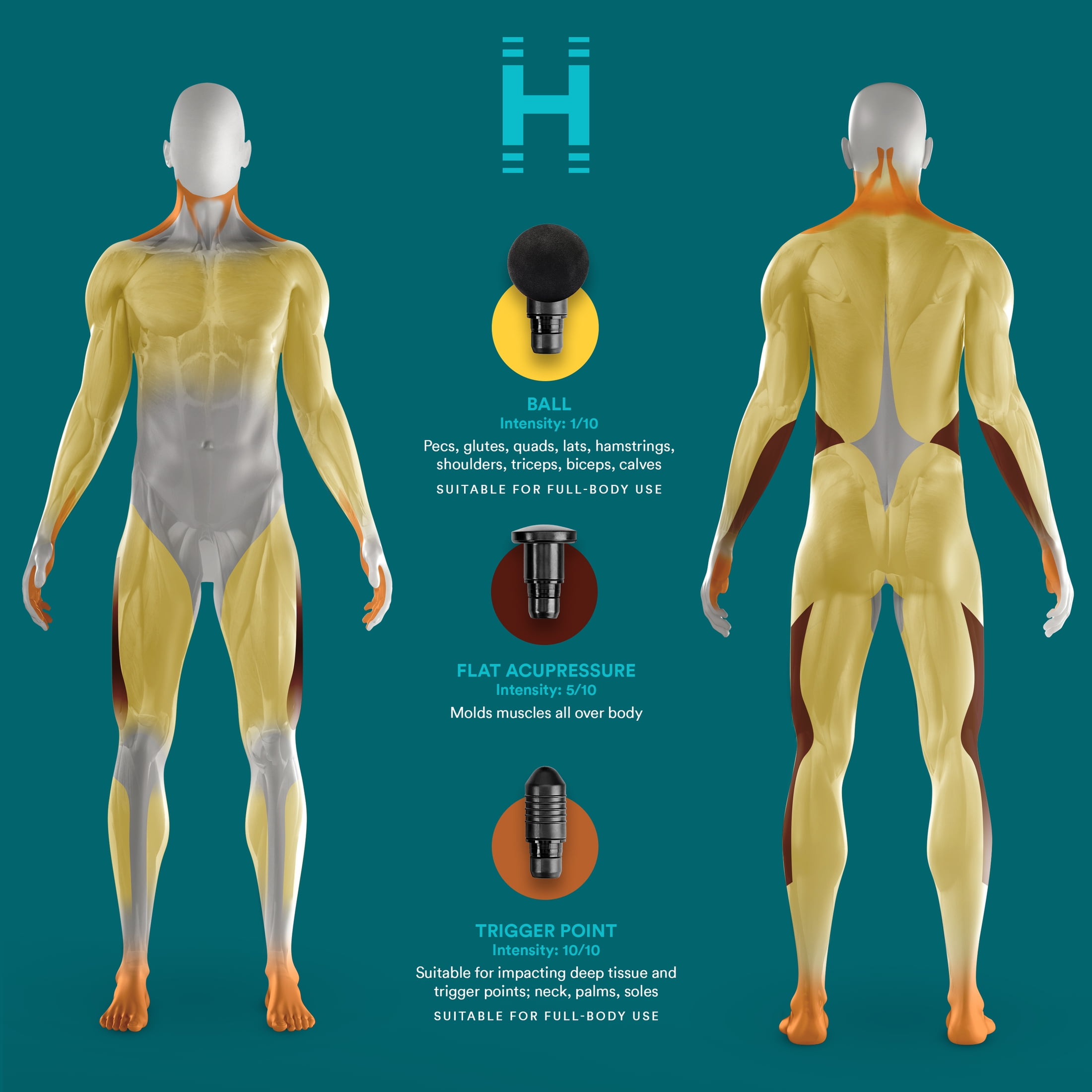 Homedics Rechargeable Percussion Massage Gun for Deep Tissue Therapy