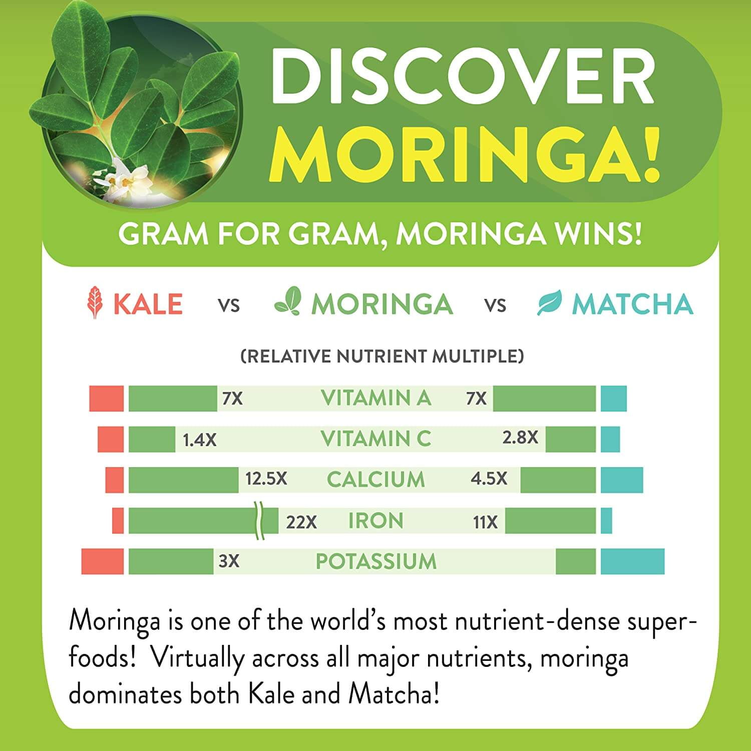 MORINGA ENERGY LIFE PURE LEAF POWDER SUPERFOOD DRINK 1 LB - 93 NUTRIENTS