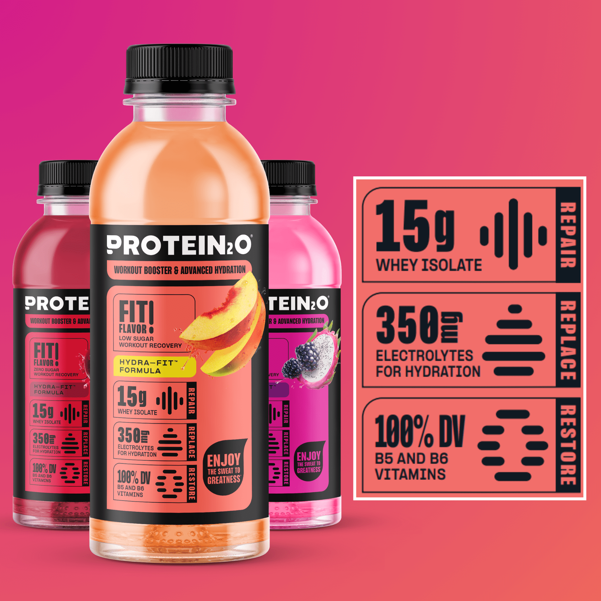 PROTEIN2O WHEY PROTEIN ISOLATE HYDRATION DRINK VARIETY PACK, 15G PROTEIN, ELECTROLYTES, VITAMINS, LOW SUGAR - 16.9OZ X12