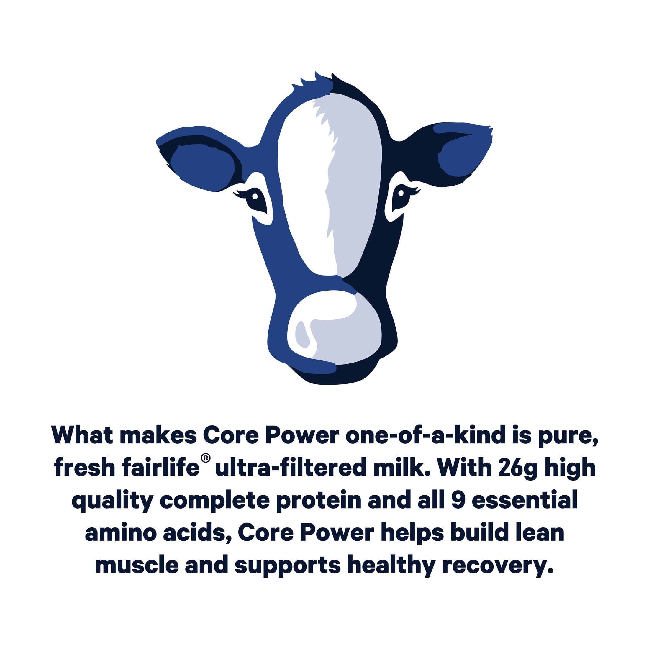 Fairlife Milk Chocolate Core Power Protein Drink - 11.5 fl oz, 26g