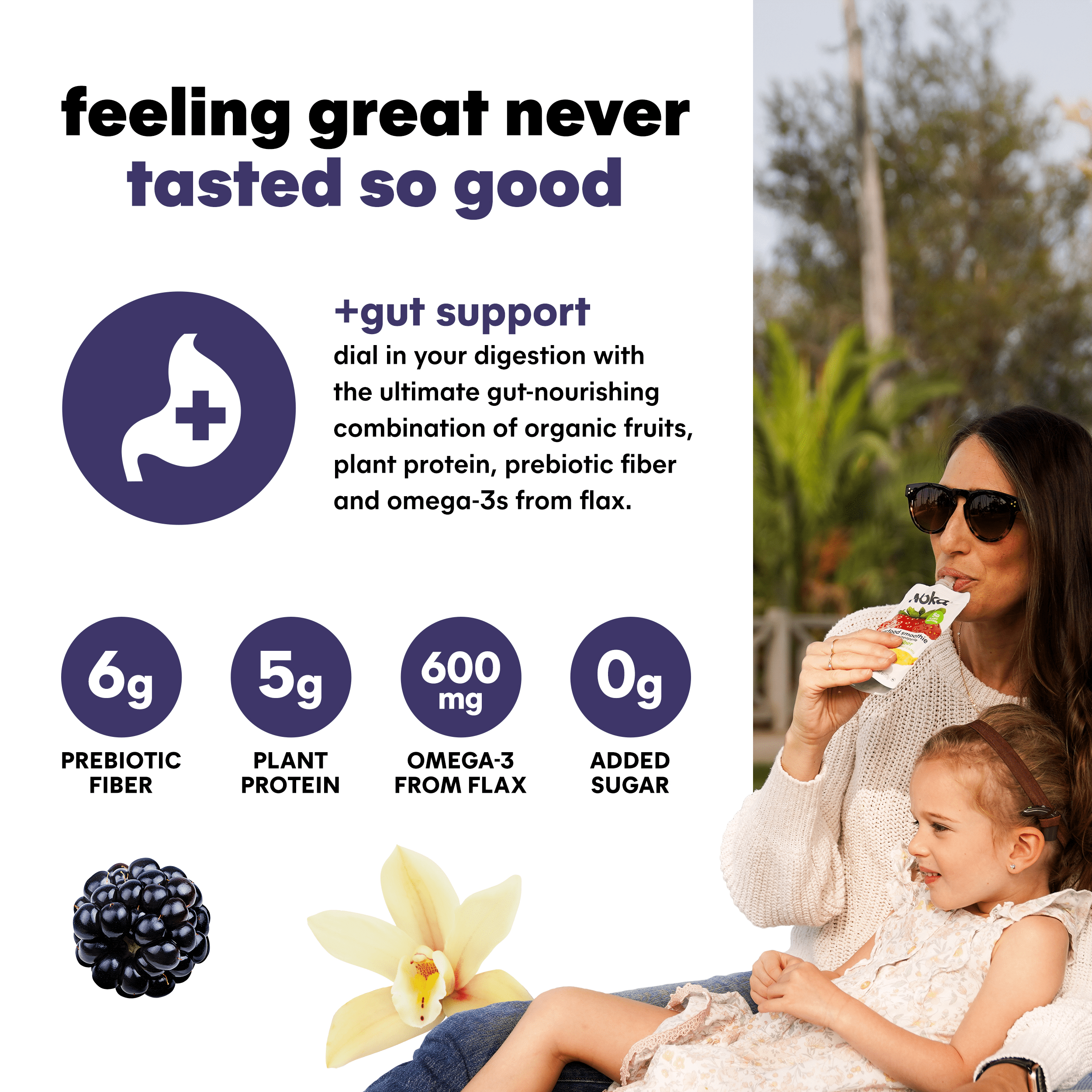 NOKA ORGANIC BLACKBERRY VANILLA SUPERFOOD SMOOTHIE POUCHES, 4-4.22 OZ, PACK OF 4 - SHELF STABLE