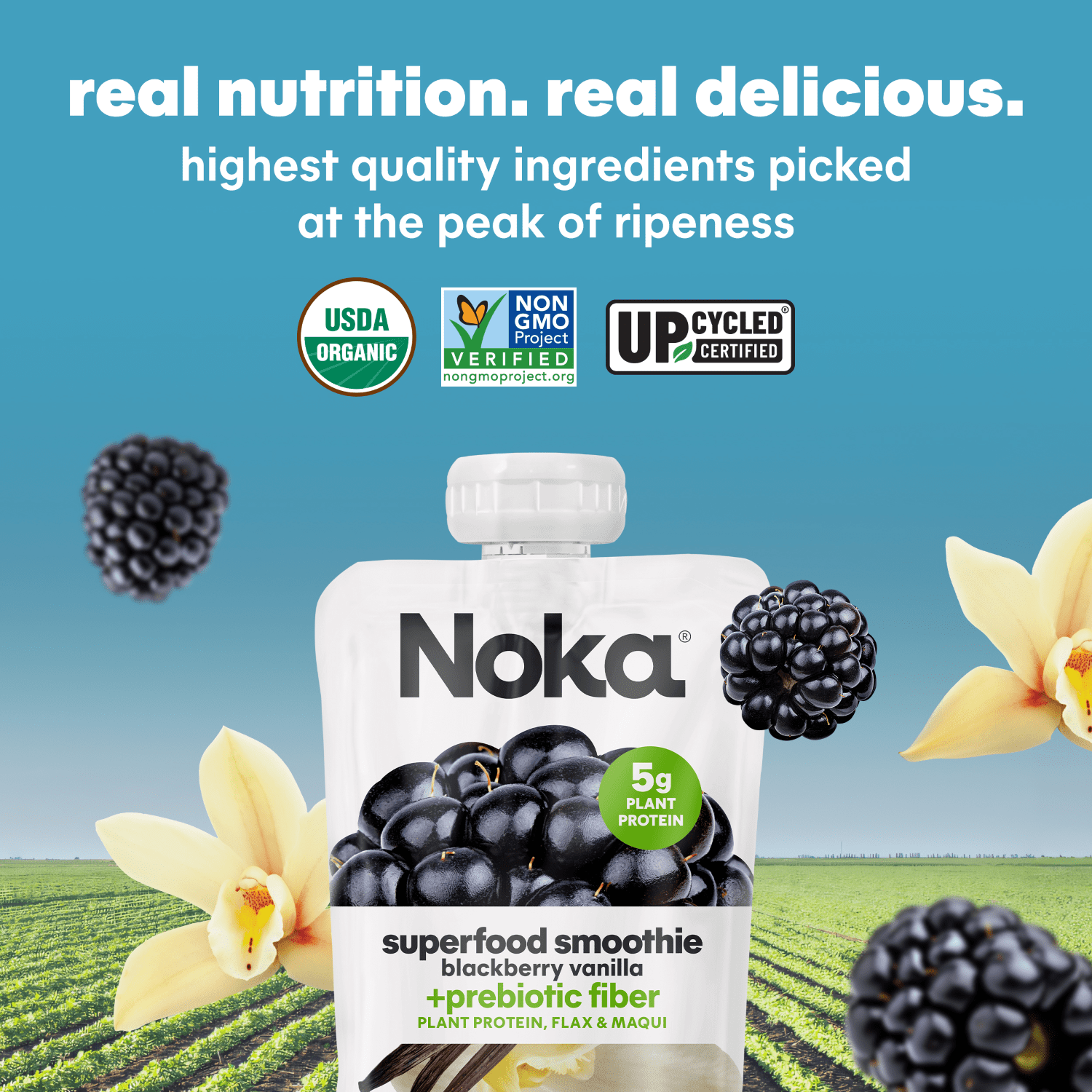 NOKA ORGANIC BLACKBERRY VANILLA SUPERFOOD SMOOTHIE POUCHES, 4-4.22 OZ, PACK OF 4 - SHELF STABLE