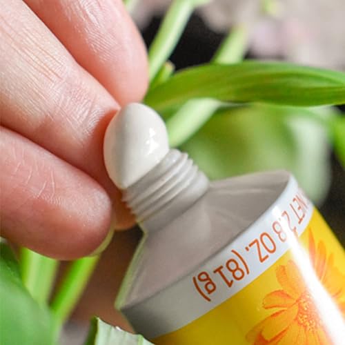 Weleda Baby Calendula Diaper Cream 2.8 fl oz - Plant Rich Protection with Calendula, Chamomile, Almond Oil, Lanolin & Zinc