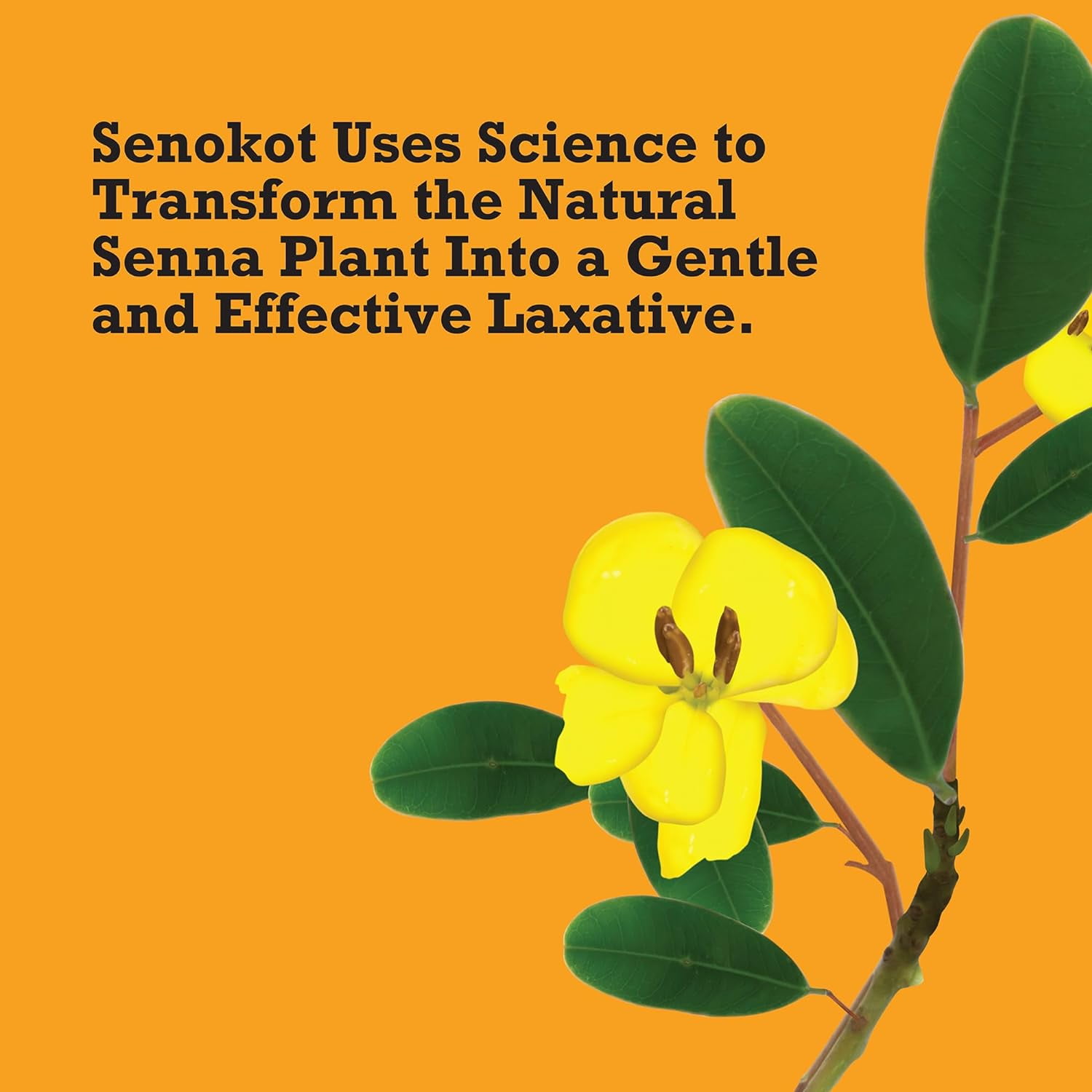 Senokot Extra Strength Senna Laxative Tablets - 36 Count
