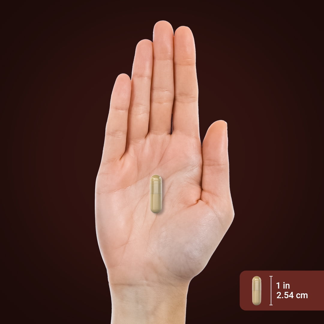 PIPING ROCK HEALTH 1500MG FIBER COMPLEX CAPSULES | TRIPLE ACTION FOR MEN & WOMEN | PIPING ROCK