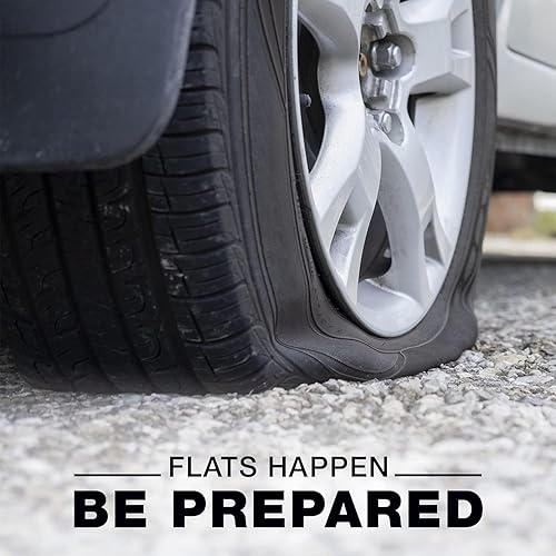 Fix-A-FLAT Emergency Flat Tire Repair and Inflator for Standard Tires, Eco-Friendly Formula, Universal Fit, 16 oz.