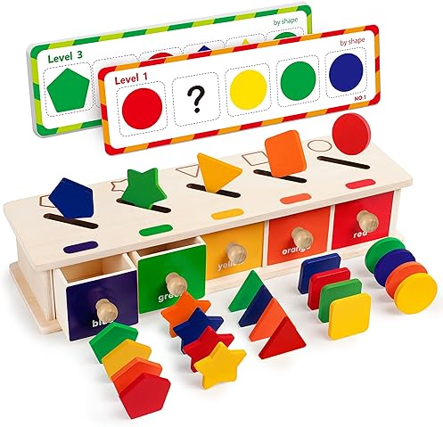 Montessori Wooden Shape Sorting Box Game for 3-5 Year-Olds