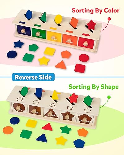 Montessori Wooden Shape Sorting Box Game for 3-5 Year-Olds