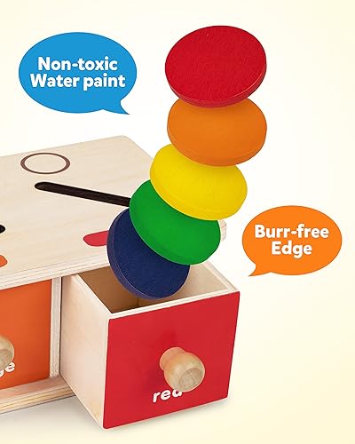 Montessori Wooden Shape Sorting Box Game for 3-5 Year-Olds