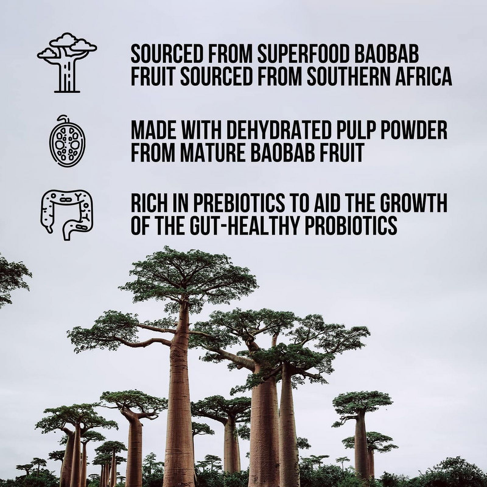 NAKED NUTRITION ORGANIC BAOBAB FIBER SUPPLEMENT POWDER - PURE AND NATURAL FIBER BOOST