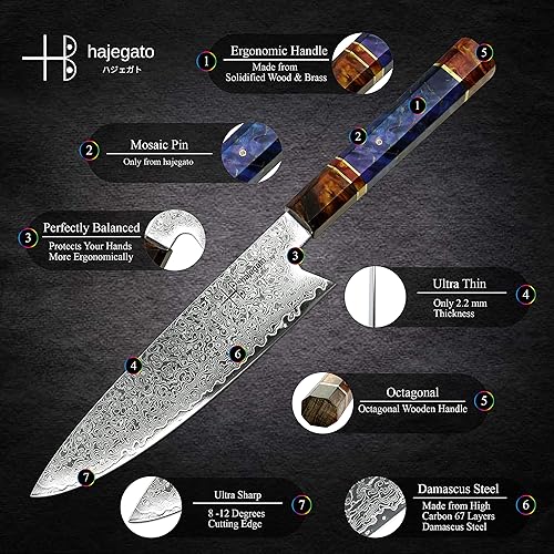 HAJEGATO DAMASCUS CHEF KNIFE 8 INCH JAPANESE GYUTO WITH UNIQUE HANDLE | VG10 67 LAYERS DAMASCUS STEEL, SHEATH