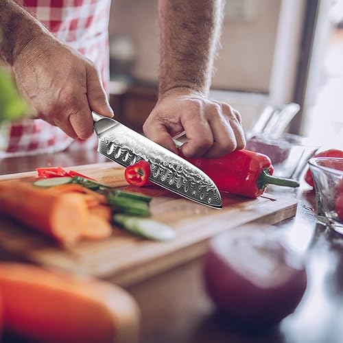 SHAN ZU 7 Inch Santoku Chef Knife - Damascus Stainless Steel, Fiberglass Handle