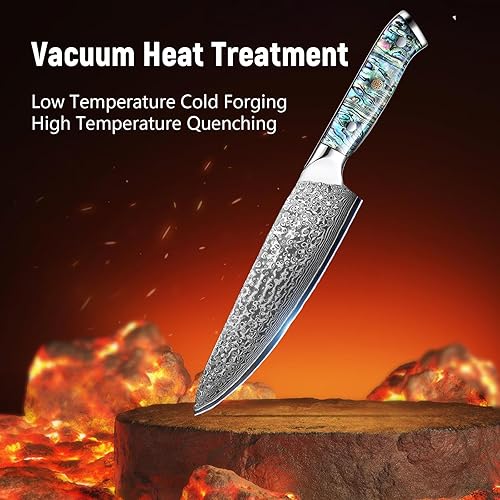 Damascus Steel Chef Knife, Japanese 10Cr15MOV Blade, Hand Forged Hammer Pattern, Abalone Shell Handle