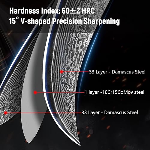 Damascus Steel Chef Knife, Japanese 10Cr15MOV Blade, Hand Forged Hammer Pattern, Abalone Shell Handle