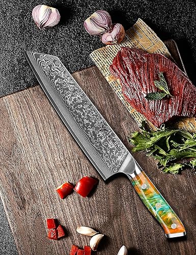 Kiritsuke Chef Knife - 67-Layer Damascus Steel, Resin Handle - Xuan Series (Fantasy Orange)