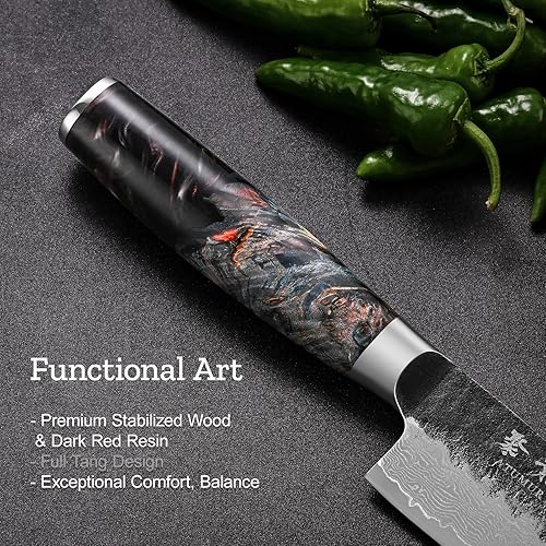 Damascus Chef Knife with VG10 Steel Core - Professional Kitchen Knife with Ergonomic Handle, Leather Sheath, Gift Box