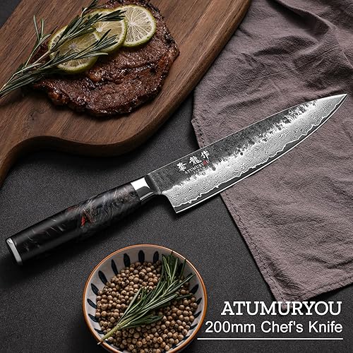 Damascus Chef Knife with VG10 Steel Core - Professional Kitchen Knife with Ergonomic Handle, Leather Sheath, Gift Box