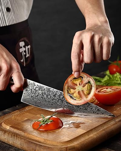 Hezhen Damascus Steel Chef's Knife with Figured Sycamore Handle - Professional Kitchen Tool