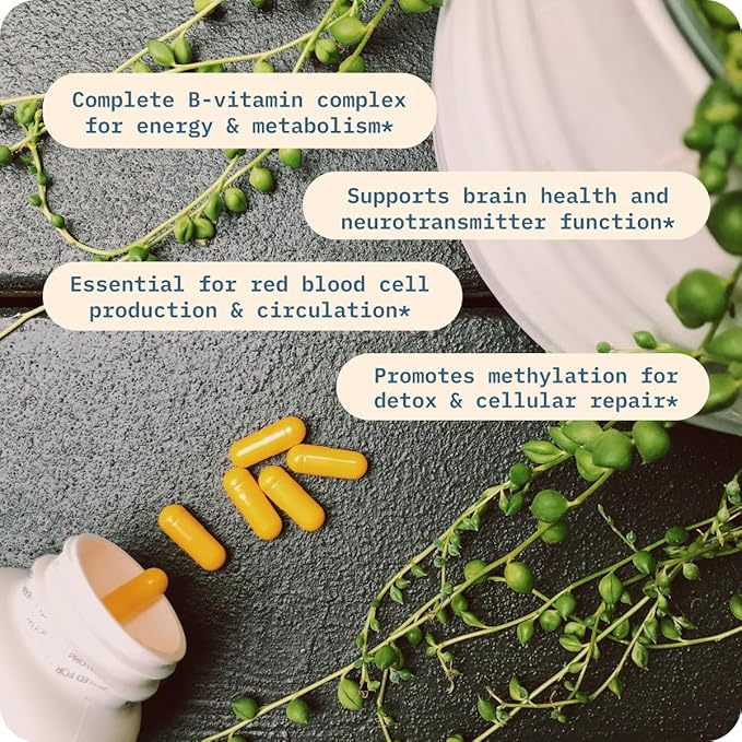 BodyBio Vitamin B - 90 Tablet