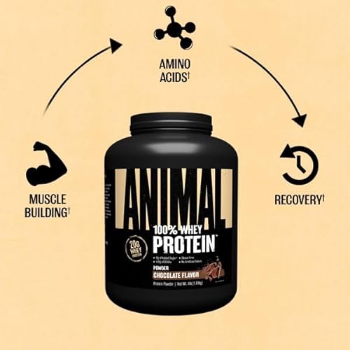 Universal Nutrition Chocolate Animal Whey Protein Powder - 100% Whey Blend for Workout Recovery, 4 lb