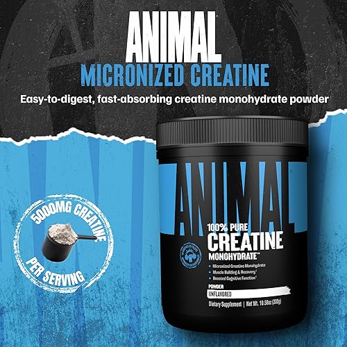 Universal Nutrition Micronized Animal Creatine Monohydrate Powder for Muscle Growth and Strength - Unflavored, 300g