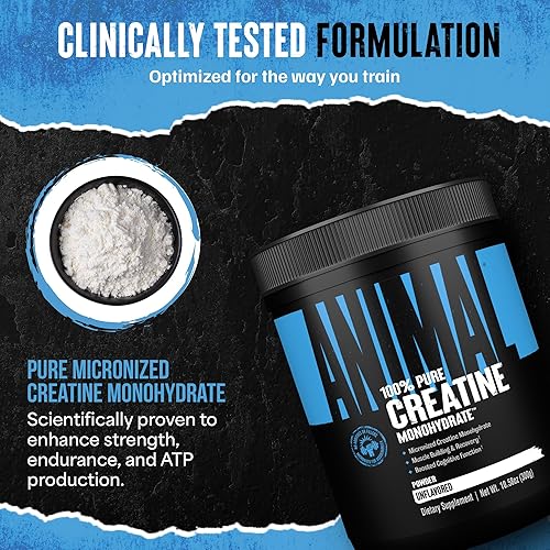 Universal Nutrition Micronized Animal Creatine Monohydrate Powder for Muscle Growth and Strength - Unflavored, 300g