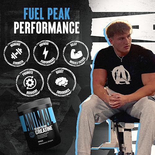 Universal Nutrition Animal Creatine Monohydrate Capsules - 300 Caps, 2500mg - Muscle Growth & Endurance Support'
